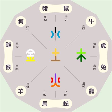 翊五行|翊的五行属性是什么